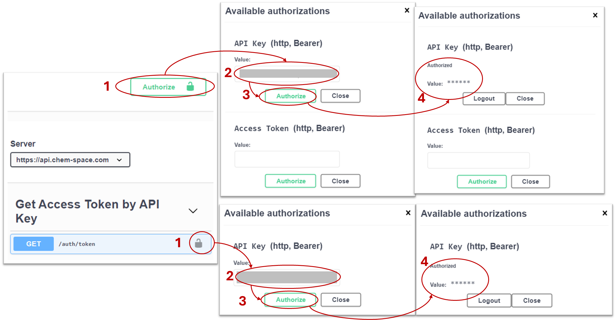 Client API documentation